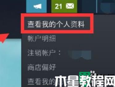 steam怎么隱藏自己在玩什么_steam怎樣隱藏自己在玩游戲