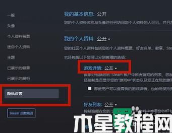 steam怎么隱藏自己在玩什么_steam怎樣隱藏自己在玩游戲