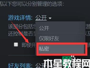 steam怎么隱藏自己在玩什么_steam怎樣隱藏自己在玩游戲