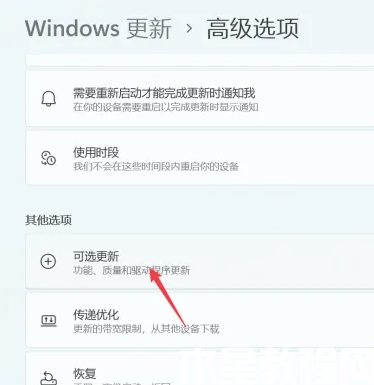 win11怎么更新驅(qū)動(dòng)(圖4) win11怎么更新驅(qū)動(dòng)(圖4)
