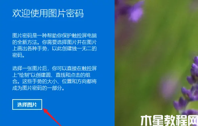 win11設(shè)置圖片密碼教程(圖5) win11設(shè)置圖片密碼教程(圖5)