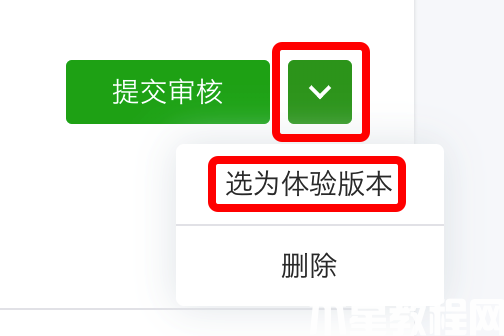選為體驗版本