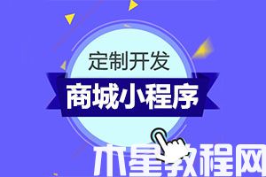 商城小程序定制開發(fā)哪家強？費用多少？