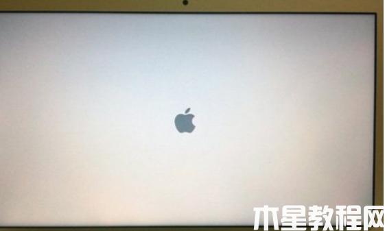 mac重裝系統(tǒng)教程 (圖13)