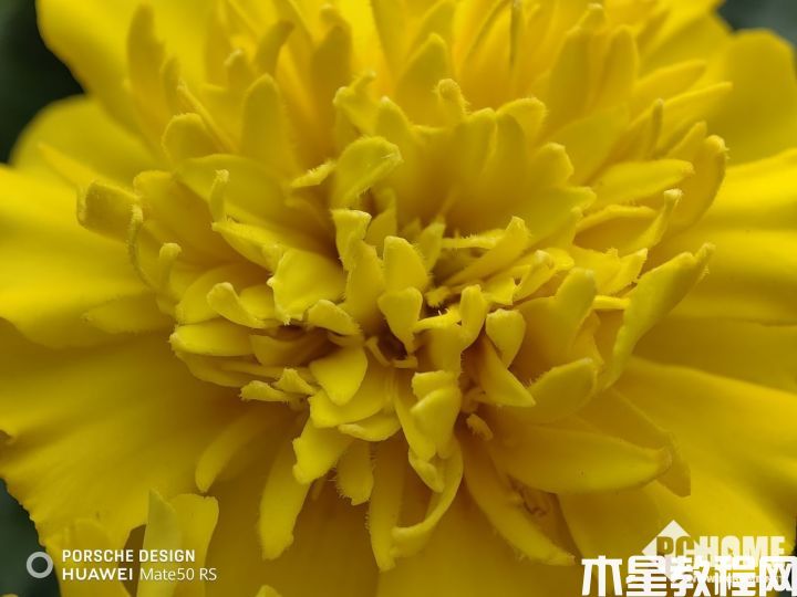 Mate 50 RS保時(shí)捷設(shè)計(jì)長焦微距體驗(yàn)：可以拍像素！(圖13)