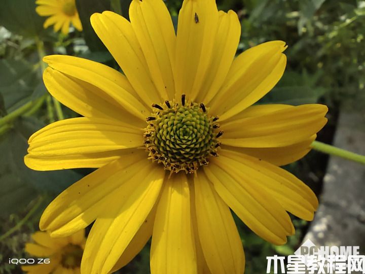 iQOO Z6評(píng)測(cè)：80W雙芯閃充千元級(jí)別新標(biāo)桿(圖10)