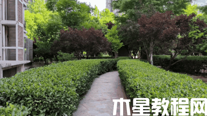 榮耀70系列評測：全新?lián)Q代檔位王者 體驗爺青回！(圖8)