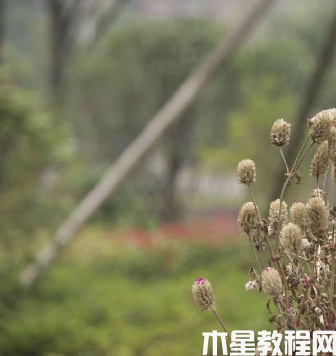 詳細(xì)解析Photoshop色階命令的使用原理 - PS教程網(wǎng)(圖1)