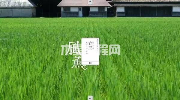 ppt背景圖片設(shè)置|office辦公軟件入門基礎(chǔ)教程(圖1)
