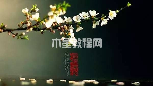 ppt背景圖片設(shè)置|office辦公軟件入門基礎(chǔ)教程(圖6)
