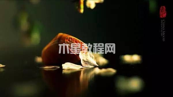 ppt背景圖片設(shè)置|office辦公軟件入門基礎(chǔ)教程(圖5)