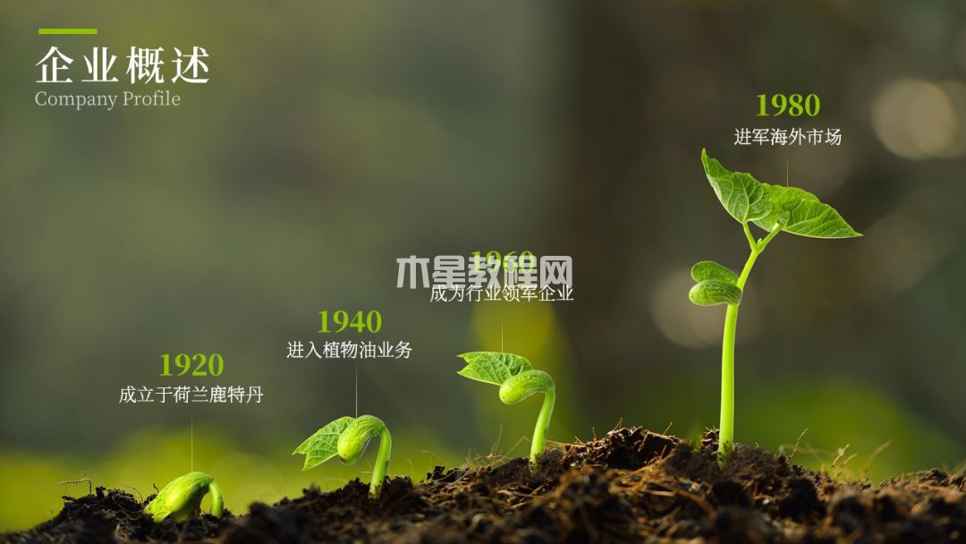 PPT中如何制作時間線？|office辦公軟件入門基礎(chǔ)教程(圖15)