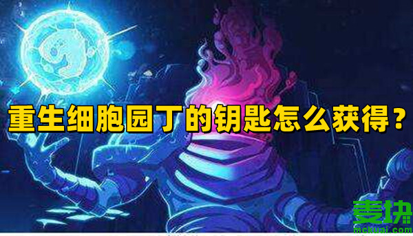 重生細(xì)胞園丁的鑰匙怎么獲得？在哪里？(圖1)