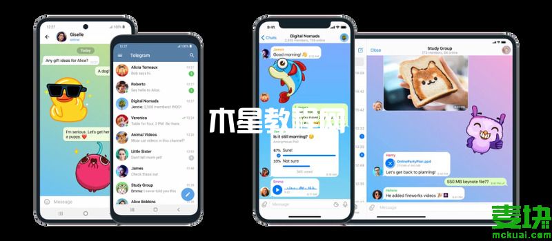 紙飛機(jī)app注冊教程2022  紙飛機(jī)app聊天軟件怎么注冊(圖1)