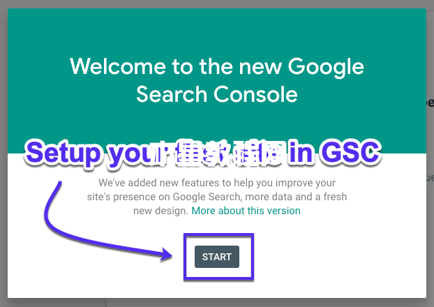 在Google Search Console中設(shè)置您的網(wǎng)站