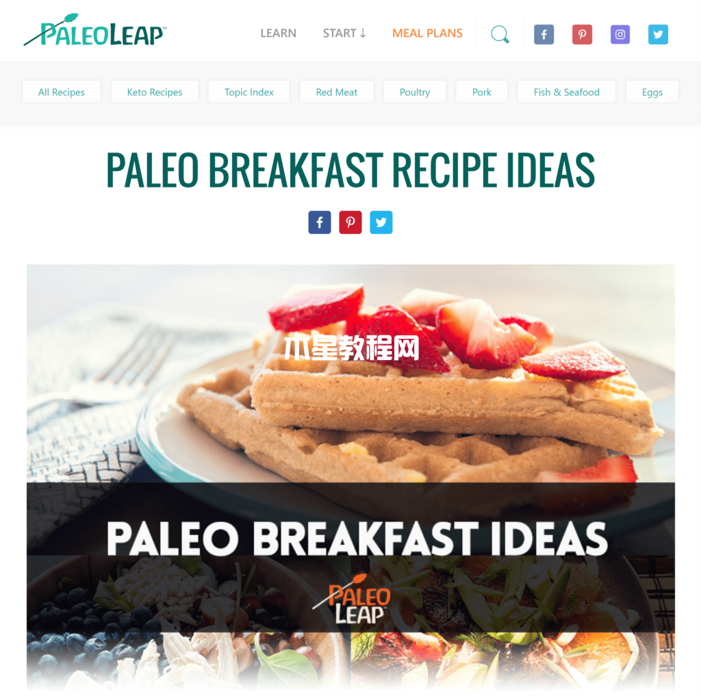 PaleoLeap網(wǎng)站文章截圖