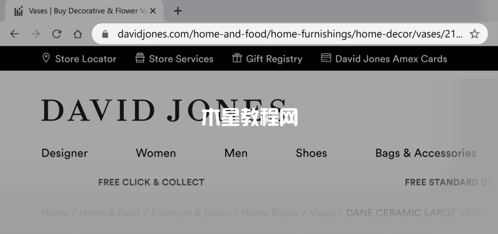 David Jones網(wǎng)站長url示例