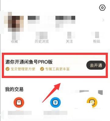 閑魚(yú)號(hào)pro版怎么開(kāi)通 閑魚(yú)號(hào)pro版有什么用 閑魚(yú)號(hào)pro版好不好(圖2)