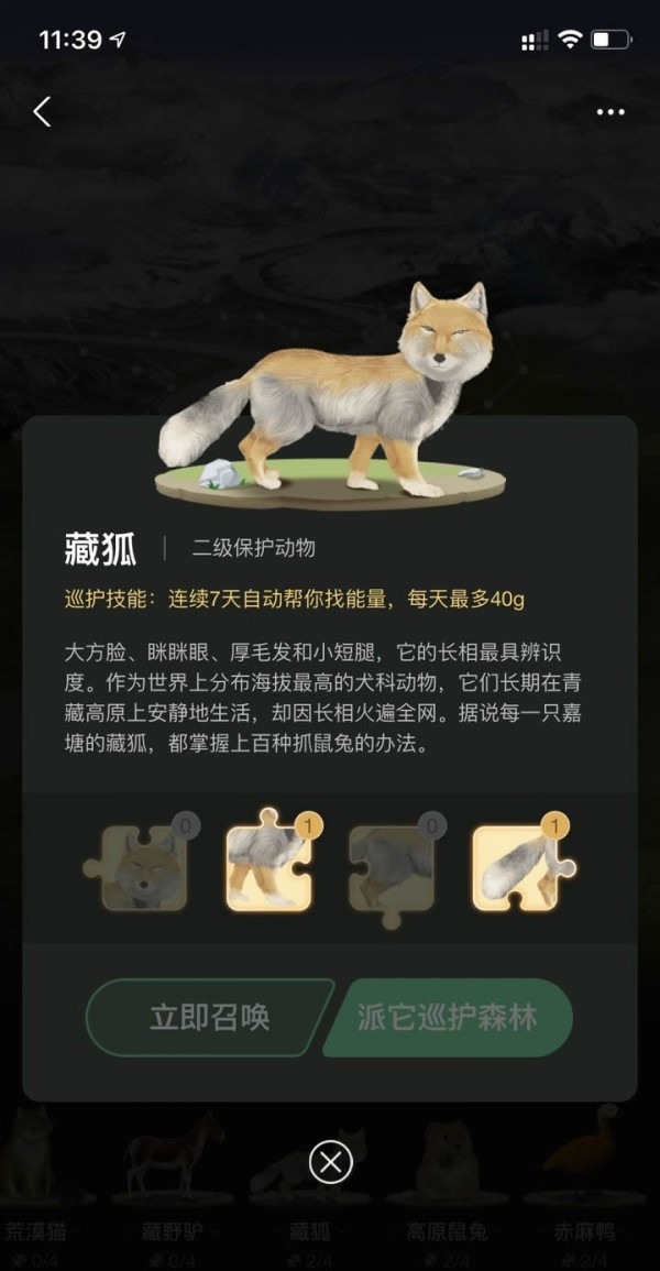螞蟻森林藏狐怎么領取 螞蟻森林藏狐有什么用