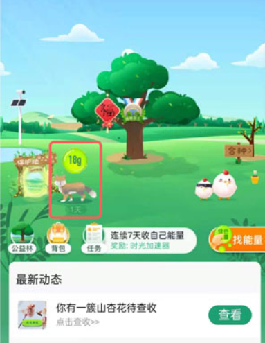螞蟻森林藏狐收取能量什么意思 螞蟻森林藏狐怎樣收取能量(圖4)