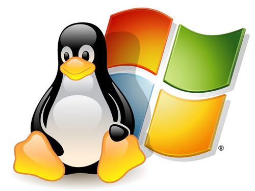 網(wǎng)站服務(wù)器系統(tǒng)選擇：Windows VS Linux
