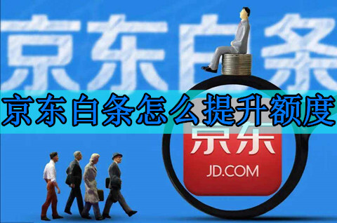 京東白條額度一般是多少？京東白條怎么提升額度？(圖1)