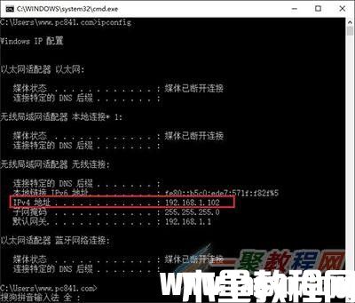 tplink無線路由器ip地址怎么查(圖4)