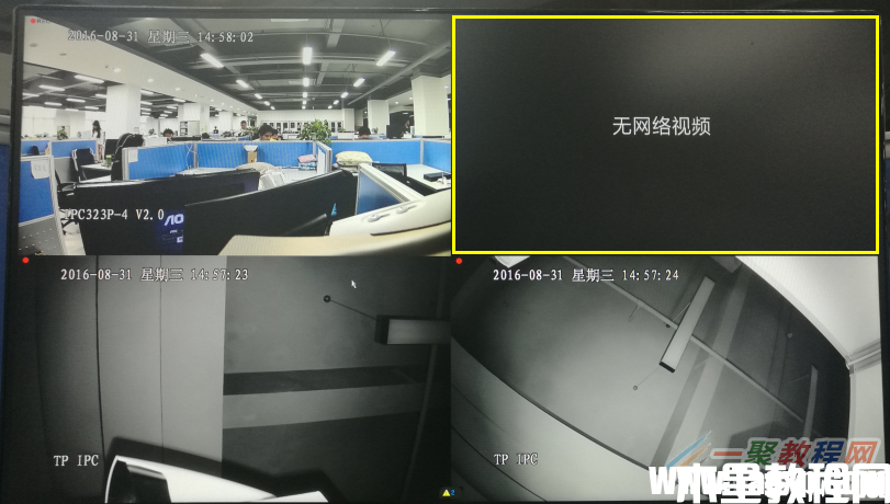 tplink[安防] 監(jiān)控畫面提示“無網(wǎng)絡(luò)視頻”，怎么處理(圖1)
