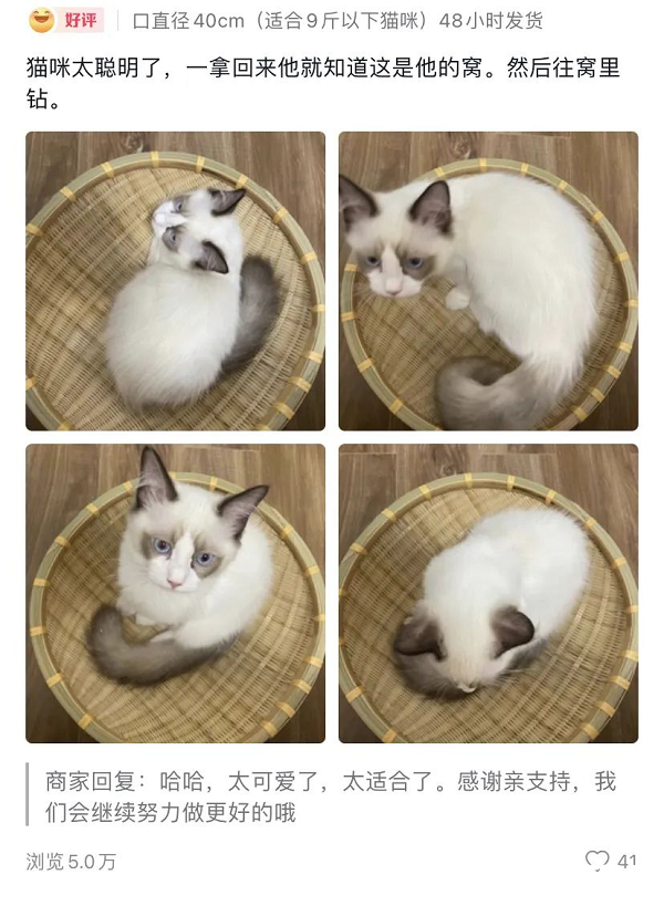 圖片12.png
