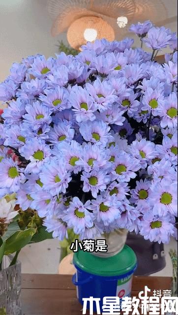 圖片11.jpg