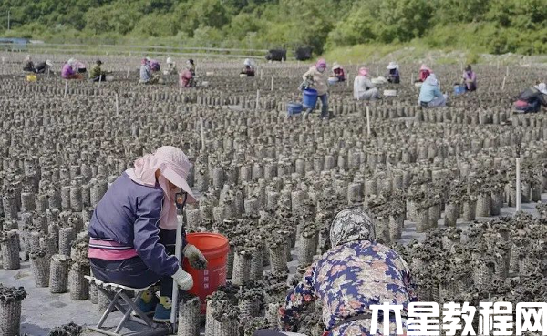 圖片1.png