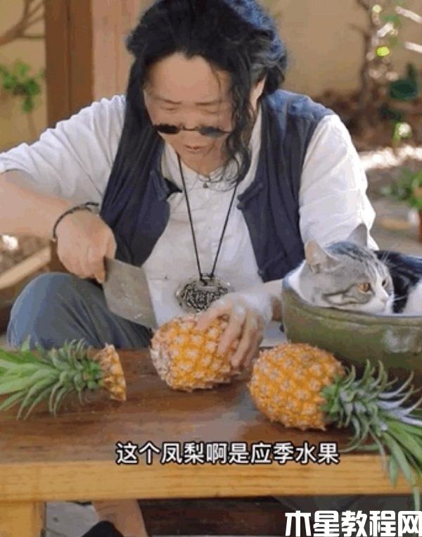 圖片14.jpg