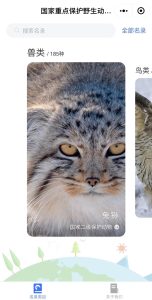 “國家重點(diǎn)保護(hù)動(dòng)物名錄”小程序上線：提供保護(hù)動(dòng)物信息查詢