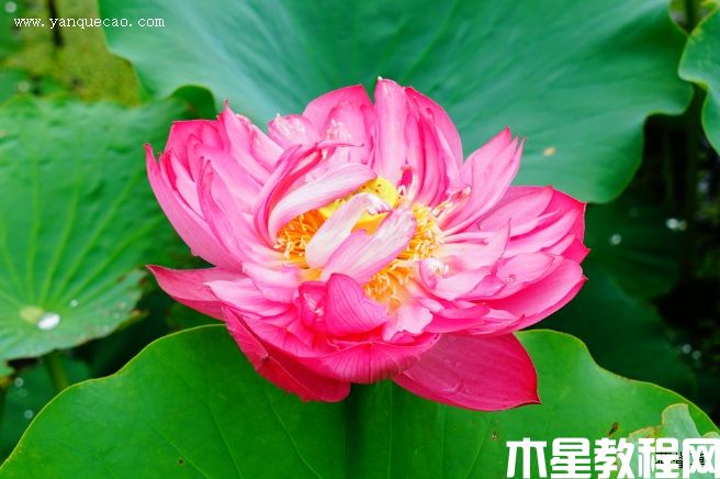 江蘇飛虹 江蘇飛虹