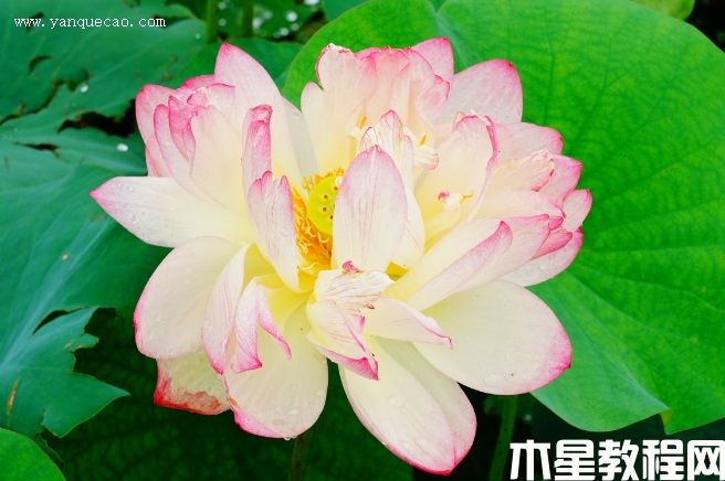 卓越 卓越