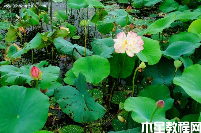 卓越(圖3) 卓越