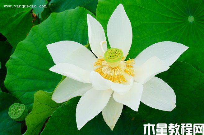 一丈青 一丈青