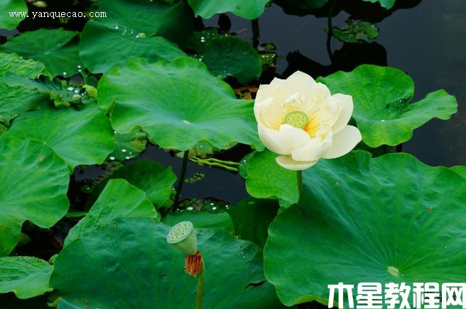 希望(圖3) 希望
