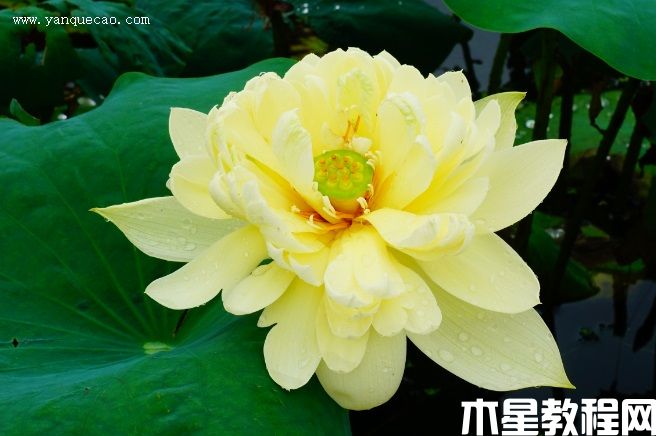 秣陵秋色 秣陵秋色