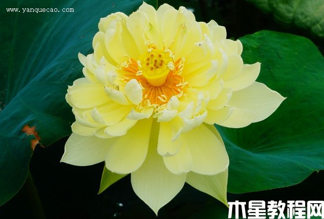 秣陵秋色 秣陵秋色