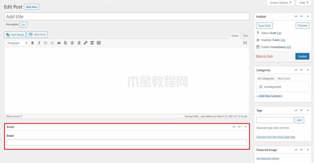 顯示文章自定義字段
