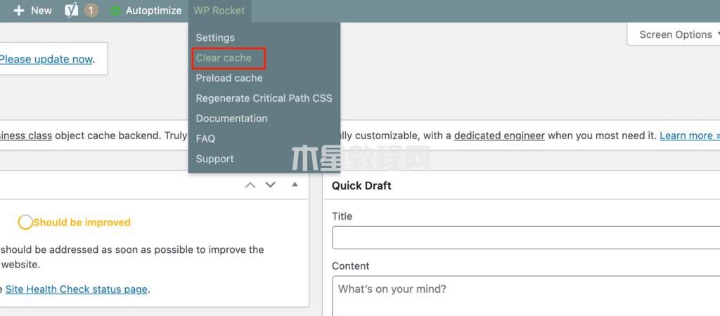 WP Rocket緩存清理 