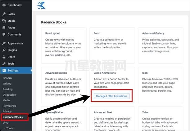 在Kadence中管理可重復(fù)使用的Lottie區(qū)塊