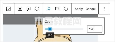 在WordPress中放大圖像