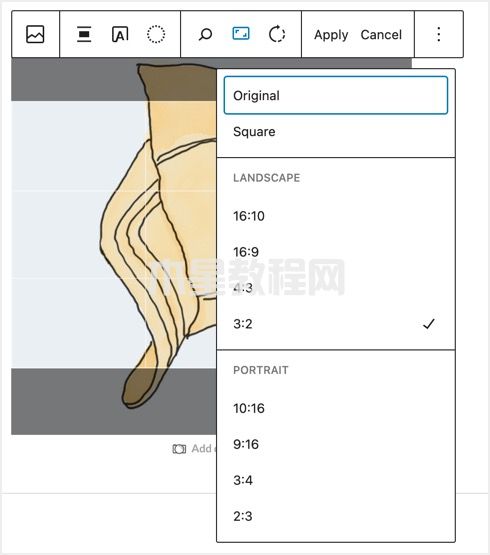 在WordPress中更改圖像縱橫比
