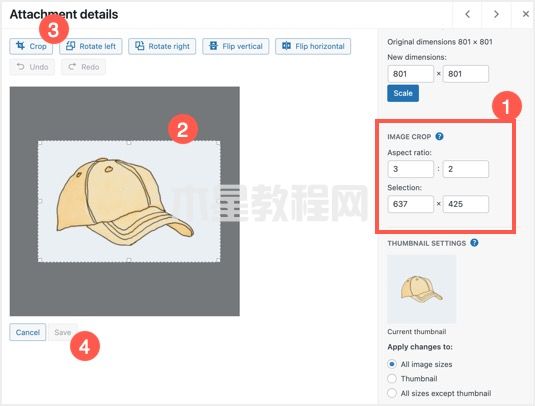 裁剪圖像以供選擇和縱橫比