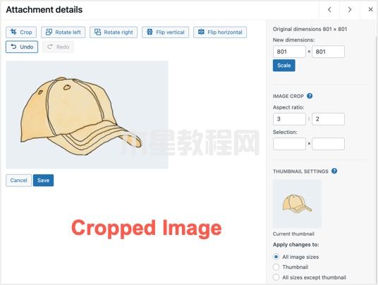 WordPress媒體庫中的裁剪圖像