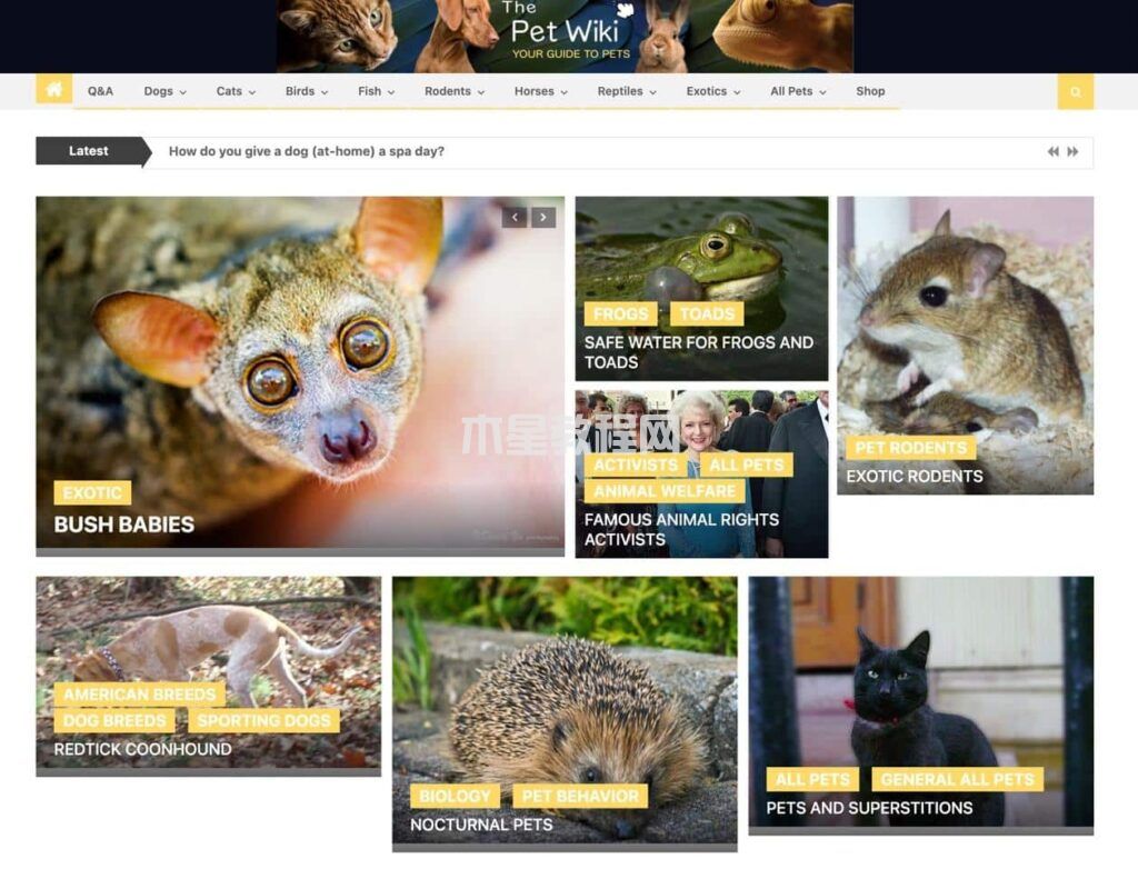Pet Wiki