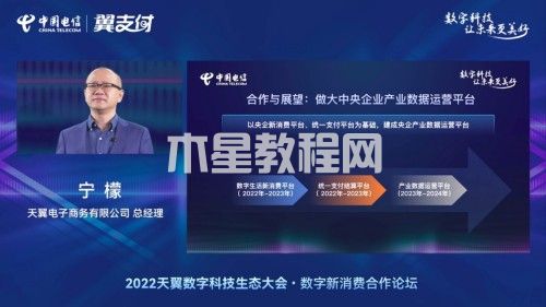 天翼生態(tài)大會寧檬.jpg
