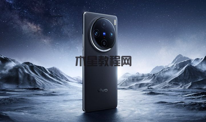 vivo X100pro